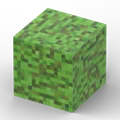 Дубовые листья